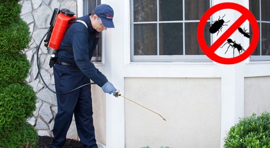 Erfelek Kene İlaçlama böcek ilaçlama ve haşere kontrolü — ilaclama-tr.com